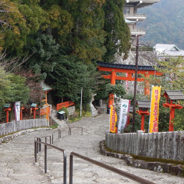 mini-tour-il-cammino-di-kumano-kodo