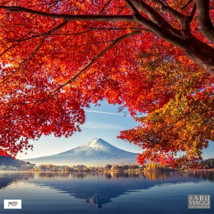 Giappone: la magia dei colori dell’autunno